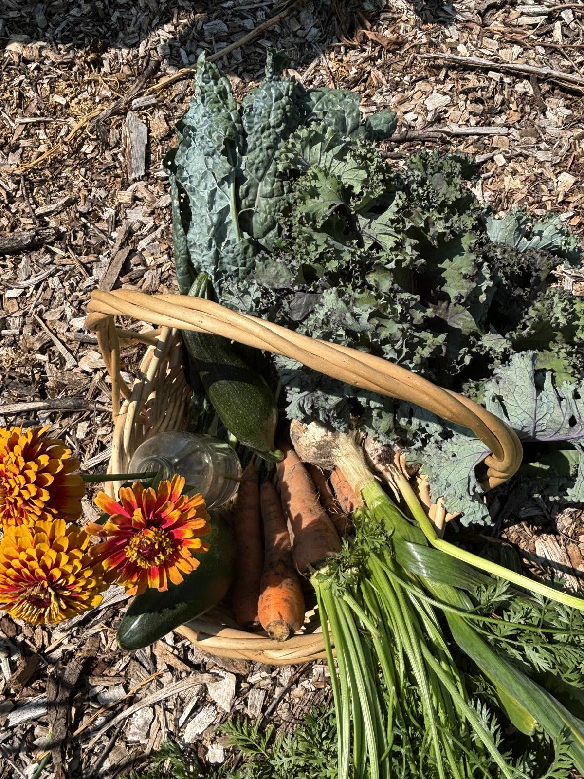 Growing season on the homestead