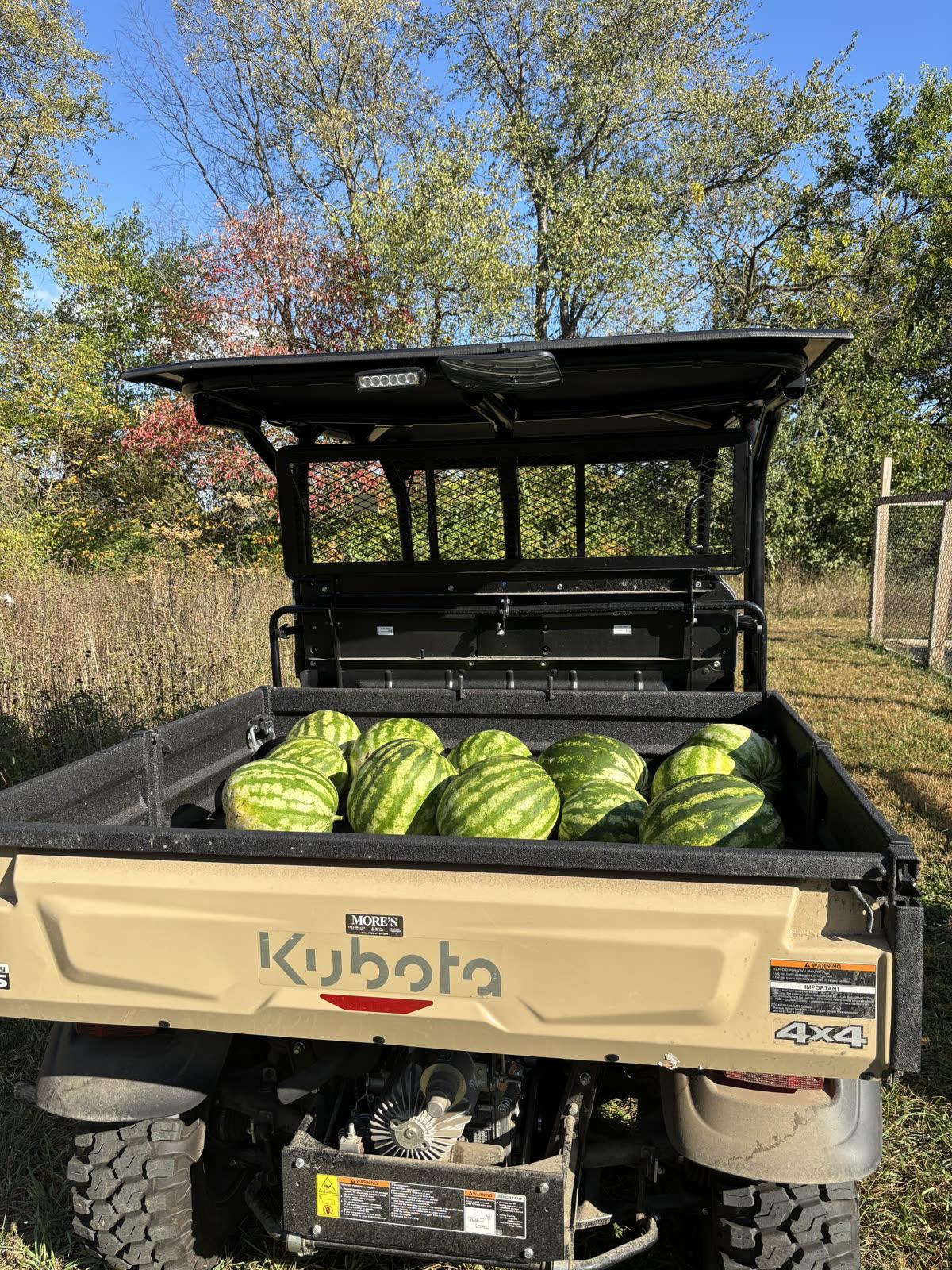 Tending the homestead