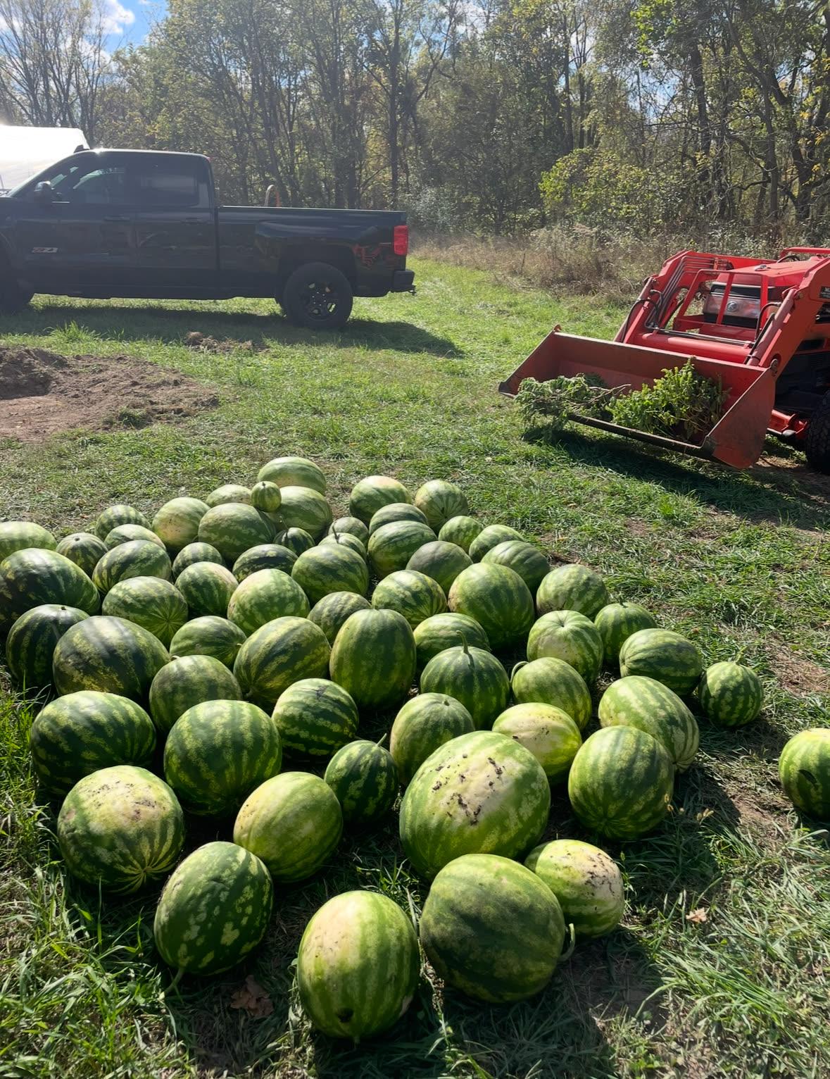 Homestead harvest