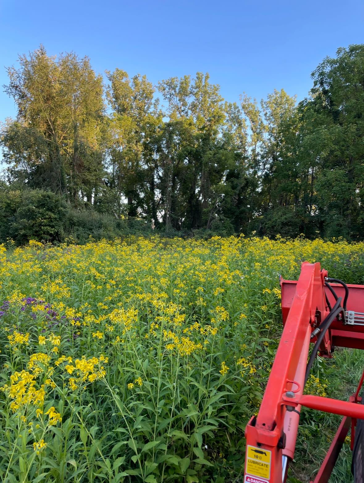 A moment from life on Promise View Acres
