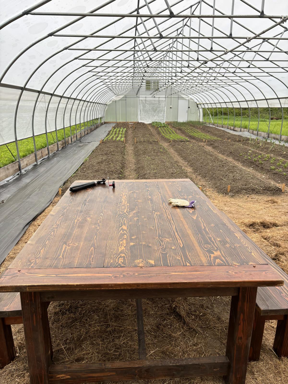 A moment from life on Promise View Acres