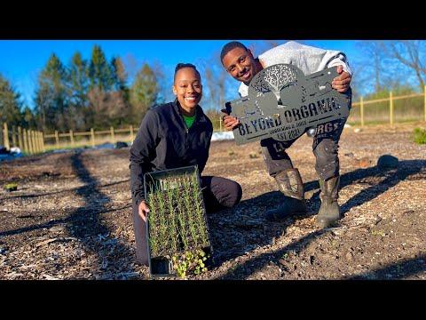 Prepping and Planting into Our 12,000 sq ft Garden! *plus a cool surprise, flower picking and more!*