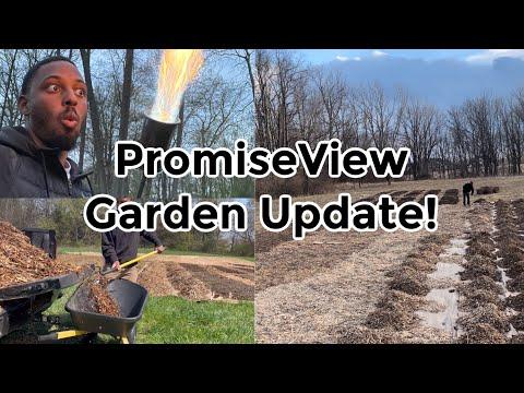 We’re Going From Pasture to Food Forest! | Flame Weeding, Jang Seeder and More!
