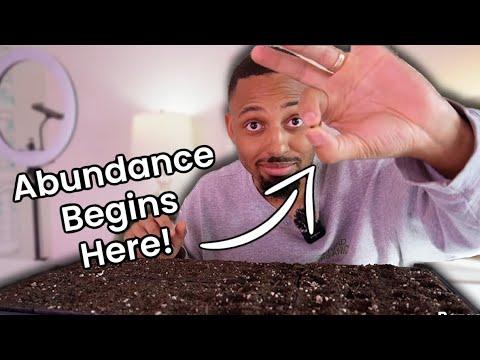 Starting Our Seeds For This Years Garden! *garden goals, diaper bags, baby update + more!